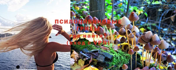 мескалин Армянск