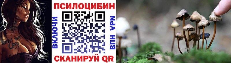 Галлюциногенные грибы Cubensis  Новоульяновск 
